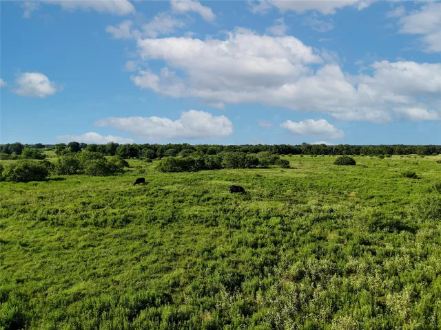 a view of a garden with an outdoor space