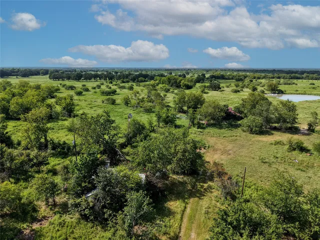 a view of a bunch of trees and houses