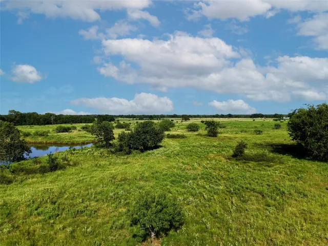 a view of a garden with an outdoor space