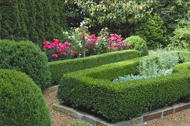 a view of a flower in a garden with statue