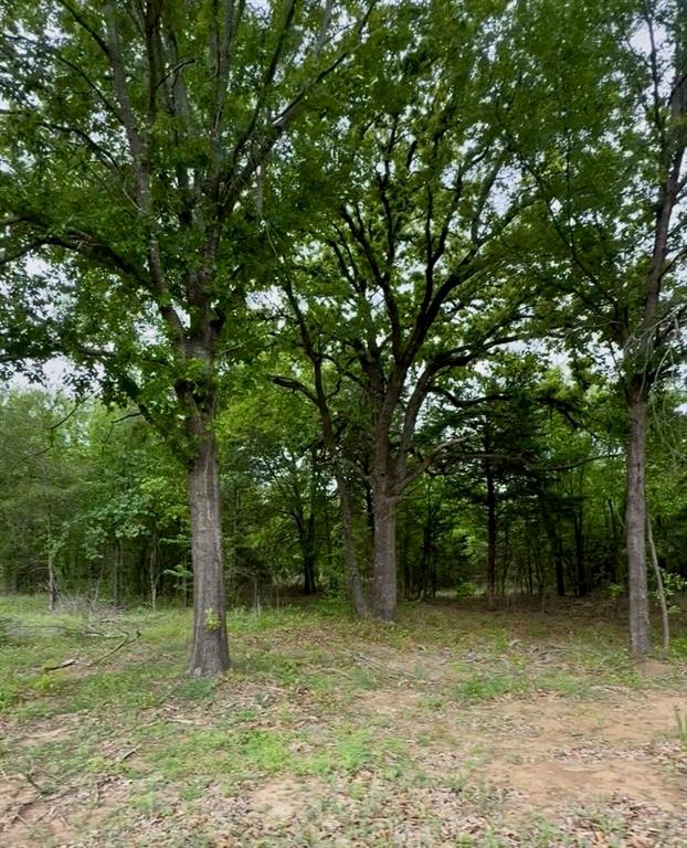 5 Slate Rock Road Ennis, TX 75119 - Photo 19 of 20