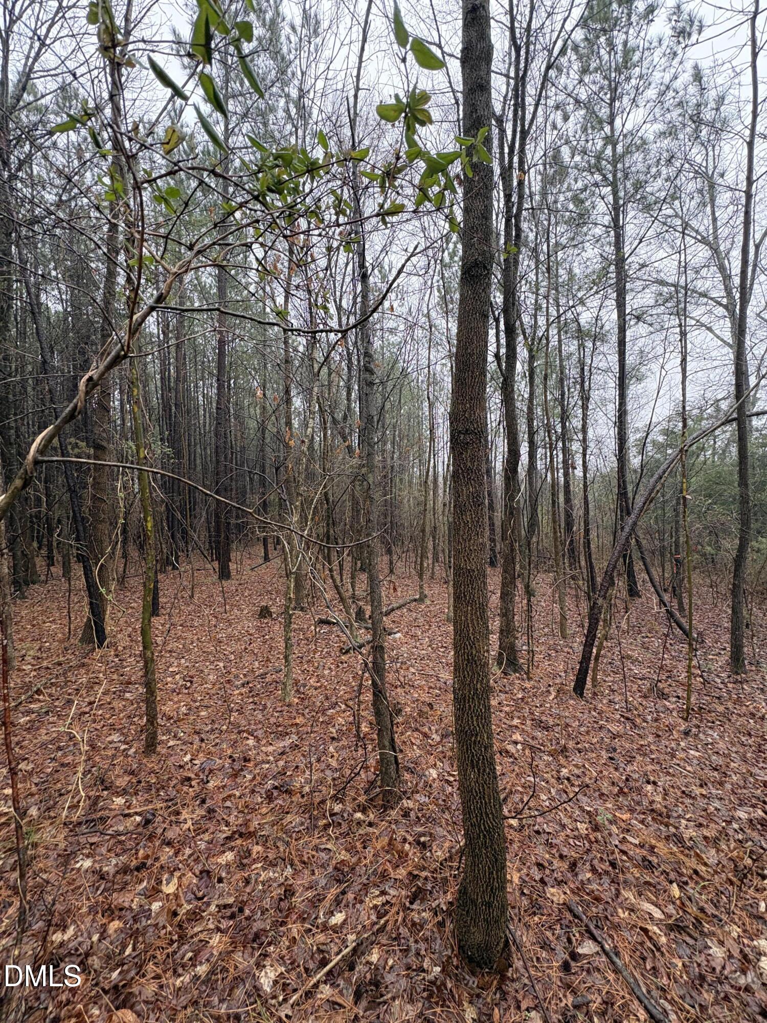 0 Glosson Road Siler City, NC 27344 - Photo 2 of 6 IMG_8655