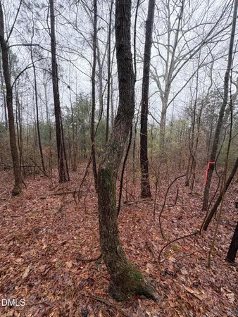 $45,000 | 0 Glosson Road, Siler City, NC 27344