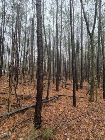 $45,000 | 0 Glosson Road, Siler City, NC 27344