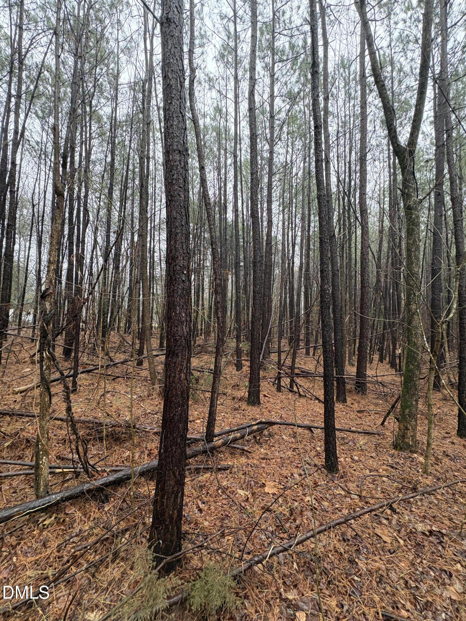 0 Glosson Road Siler City, NC 27344 - Photo 5 of 6 IMG_8663