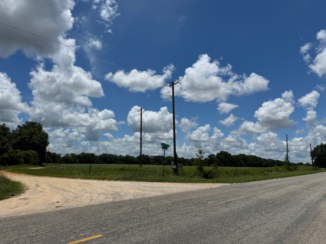 25 & Barrington Road Midland City, AL 36350 - Photo 13 of 21