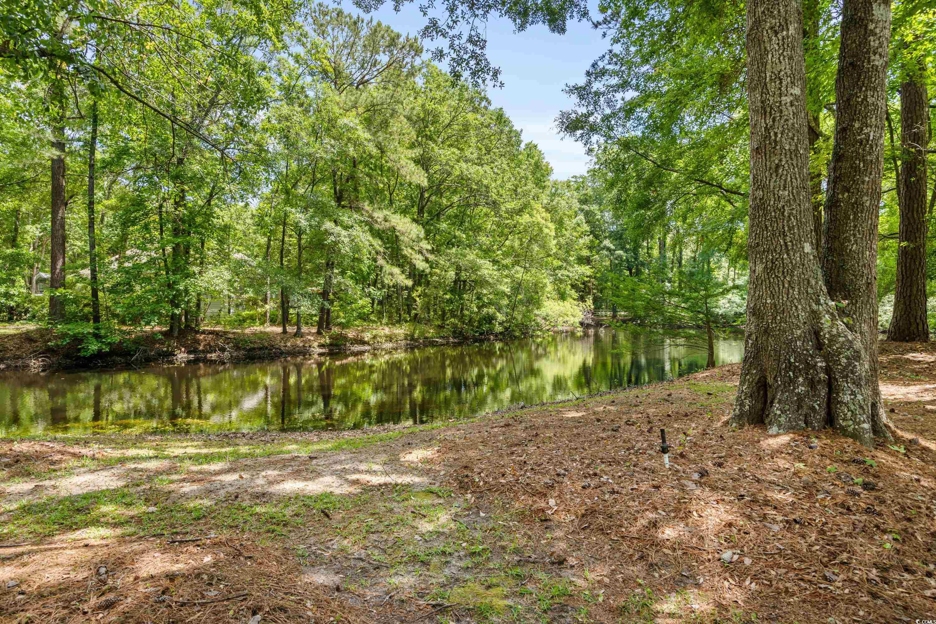 4853 Surry Lane Murrells Inlet, SC 29576 - Photo 17 of 40 Gallery Image 17