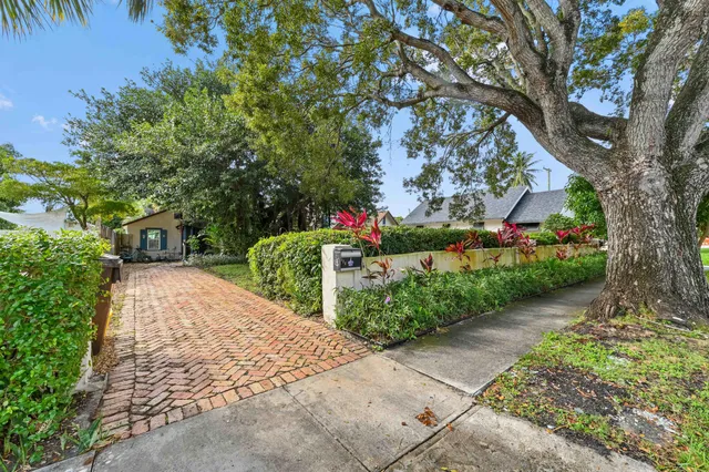a view of a street with potted plants and large trees