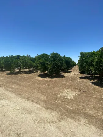 $697,900 | 9506 Road 236, Terra Bella, CA 93270