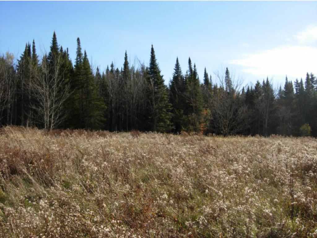 4565 Collins Mill Road Newport Town, VT 05857 - Photo 1 of 16 Gallery Image 1