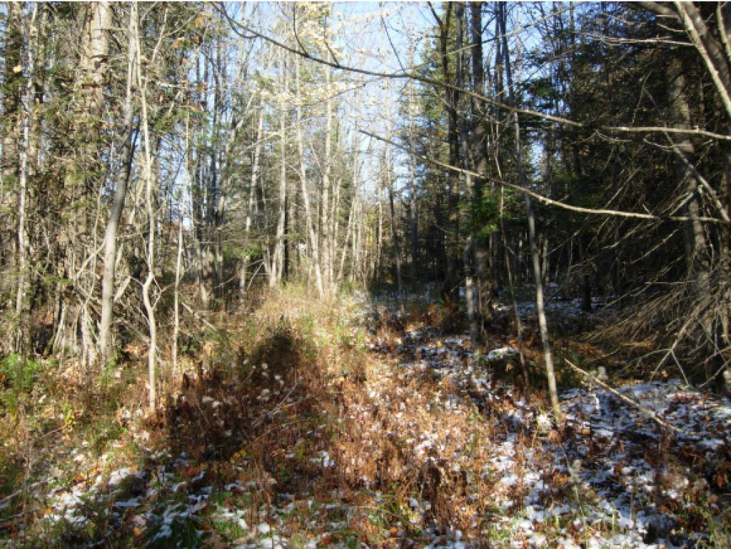 4565 Collins Mill Road Newport Town, VT 05857 - Photo 11 of 16 Gallery Image 11
