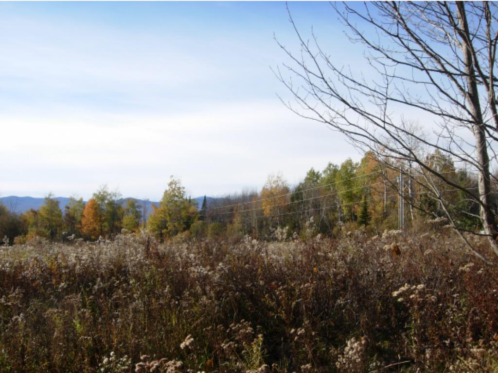 4565 Collins Mill Road Newport Town, VT 05857 - Photo 12 of 16 Gallery Image 12
