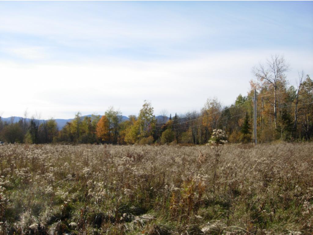 4565 Collins Mill Road Newport Town, VT 05857 - Photo 14 of 16 Gallery Image 14