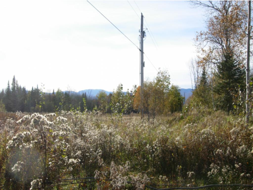 4565 Collins Mill Road Newport Town, VT 05857 - Photo 16 of 16 Gallery Image 16