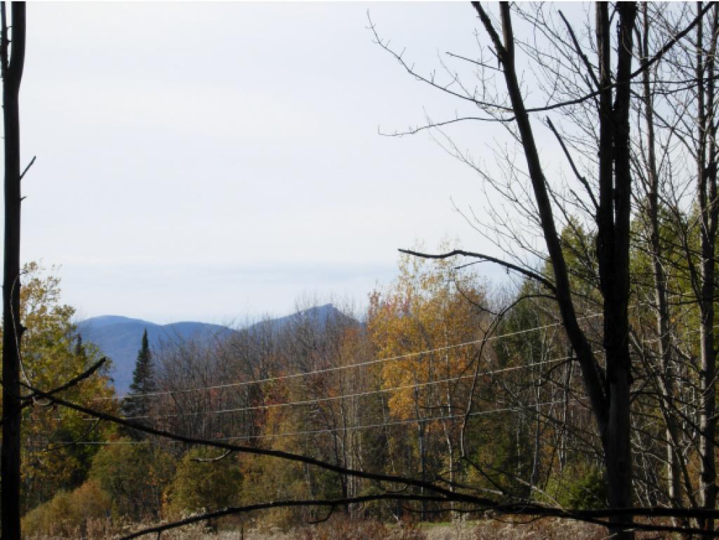 4565 Collins Mill Road Newport Town, VT 05857 - Photo 3 of 16 Gallery Image 3