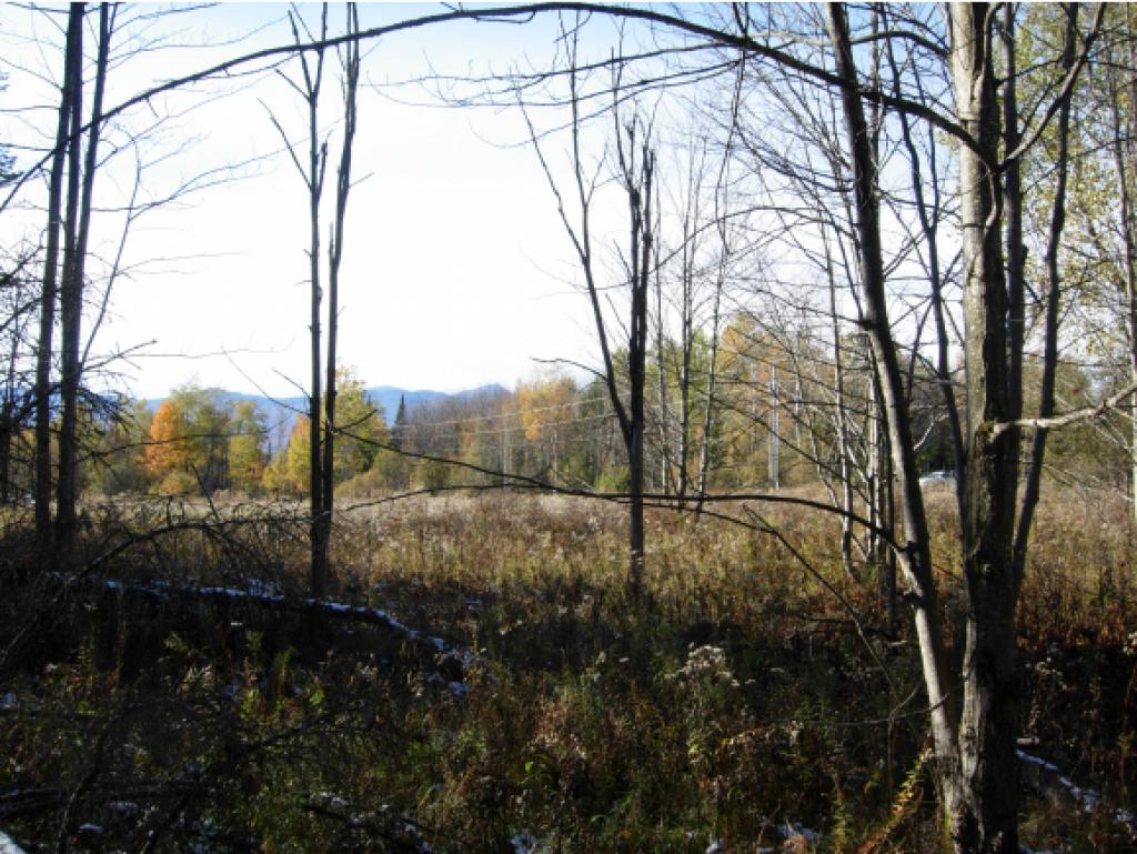 4565 Collins Mill Road Newport Town, VT 05857 - Photo 5 of 16 Gallery Image 5