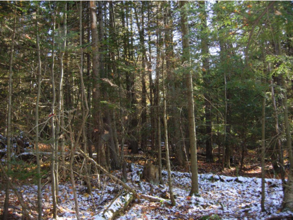 4565 Collins Mill Road Newport Town, VT 05857 - Photo 7 of 16 Gallery Image 7