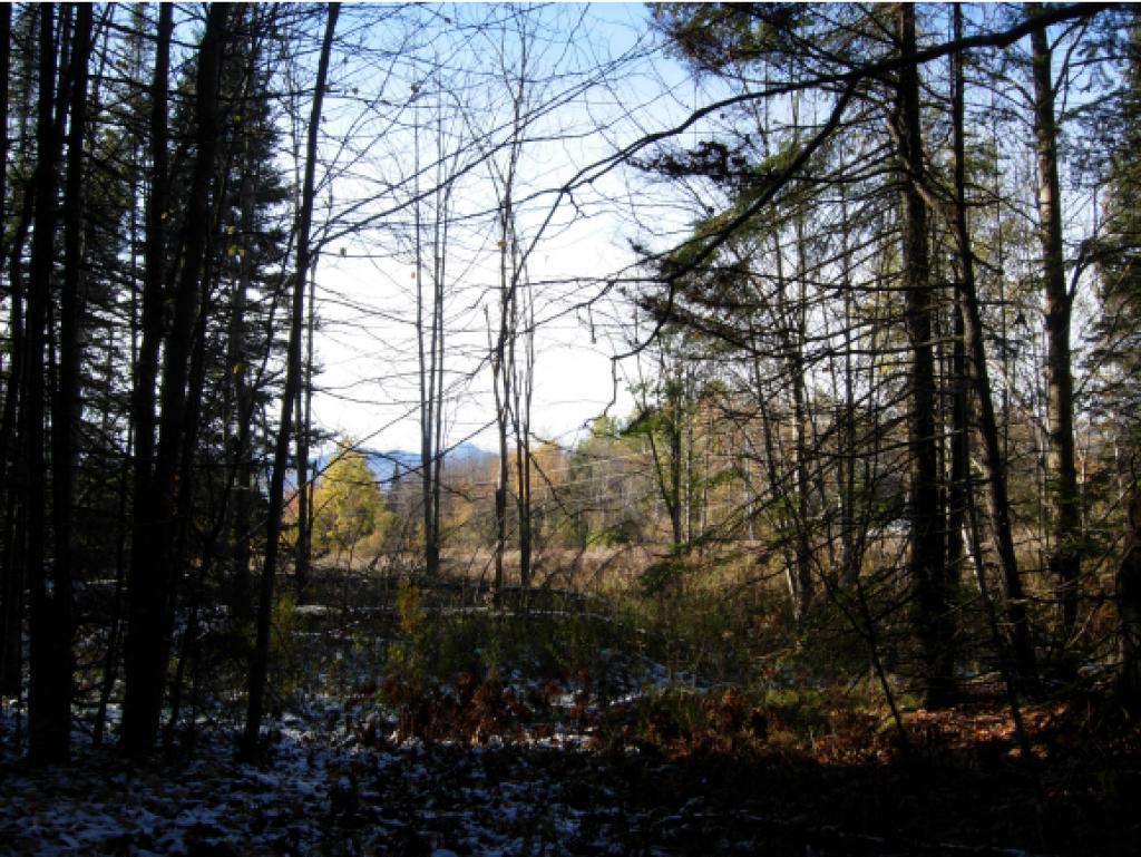 4565 Collins Mill Road Newport Town, VT 05857 - Photo 10 of 16 Gallery Image 10