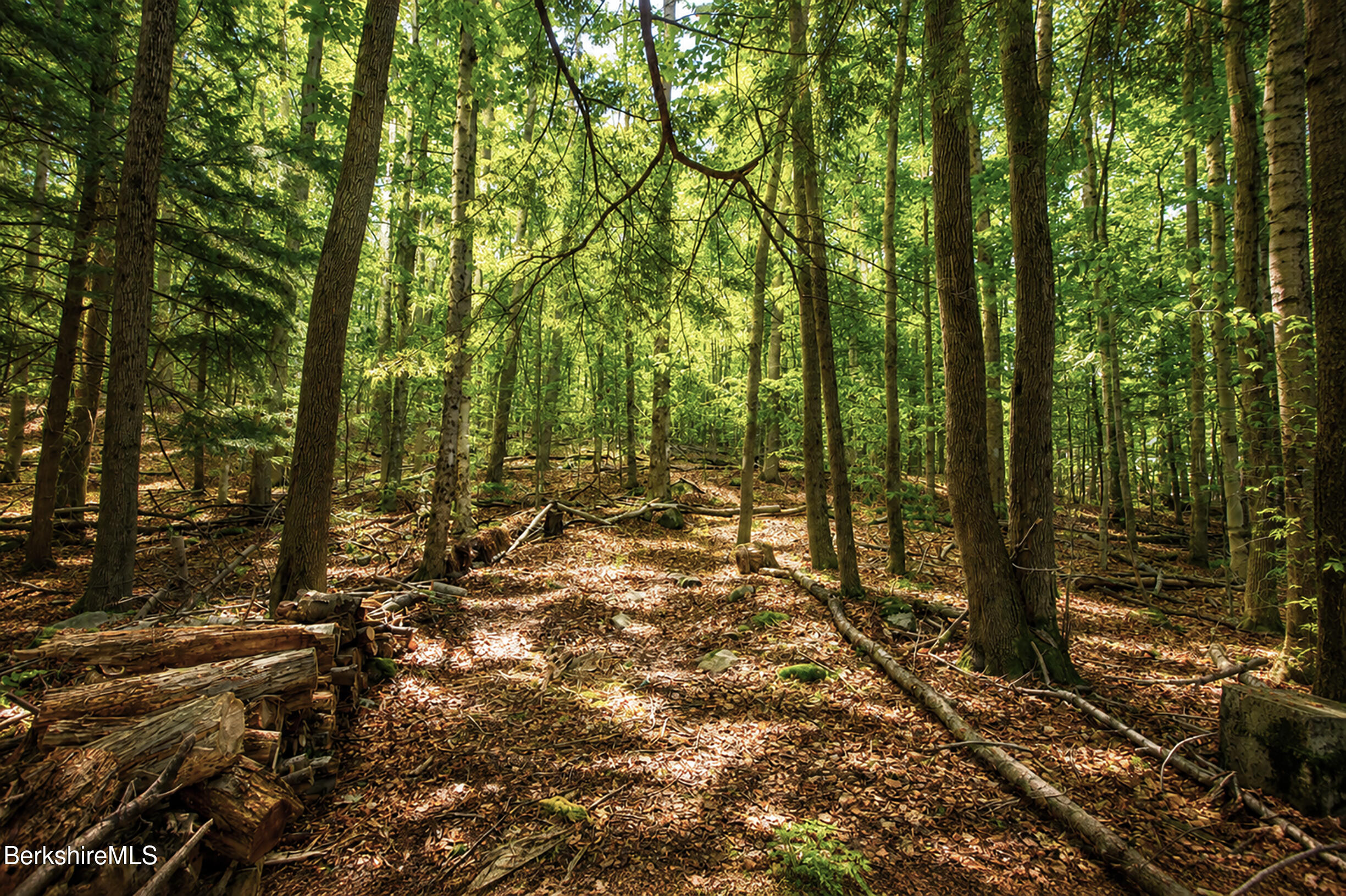 Property Path