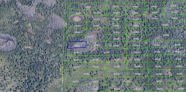 2307 Dill Road Christmas, FL 32709 - Photo 7 of 7