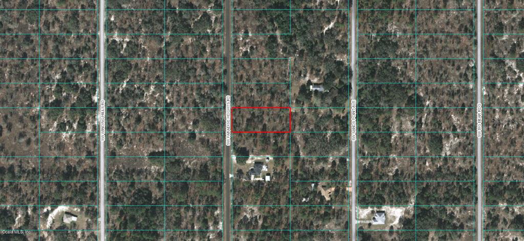 0 Southwest Paradise Heights Road Dunnellon, FL 34431 - Photo 1 of 1 1811-013-033