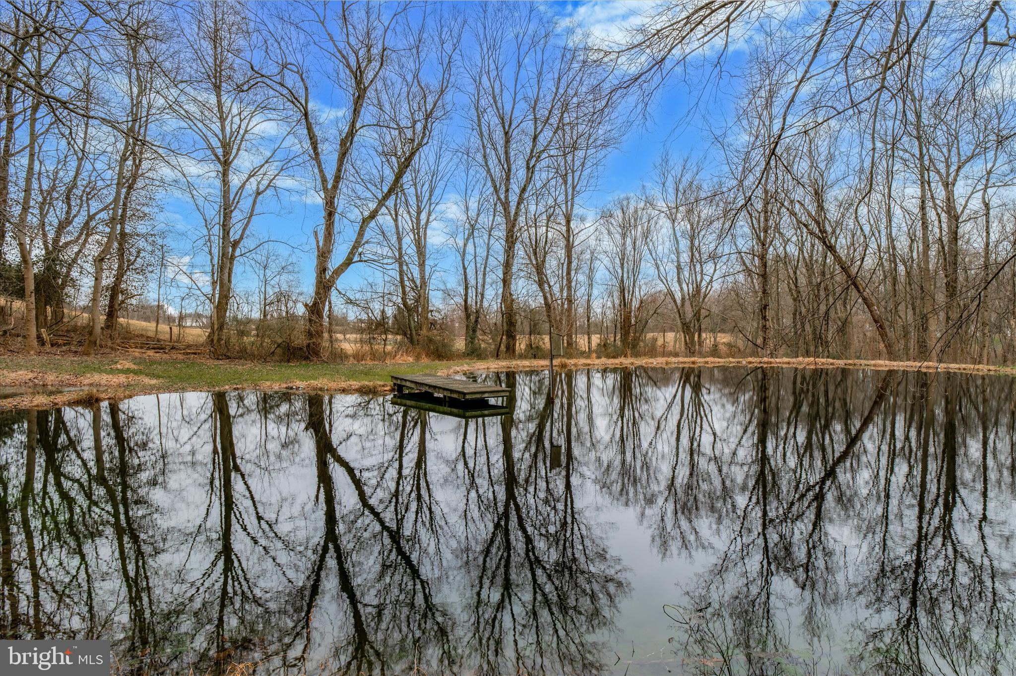 187 Baker Road West Brandywine, PA 19320 - Photo 17 of 49 Pond
