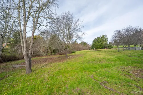 a view of a field with trees in the background