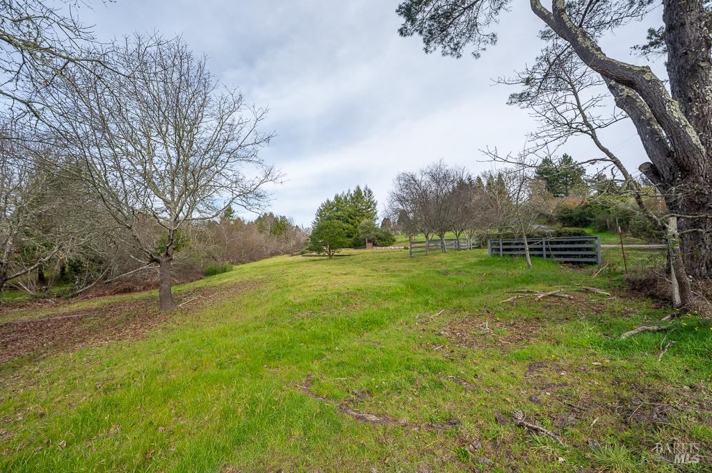 790 Ferguson Road Sebastopol, CA 95472 - Photo 15 of 15 a view of a field with fence