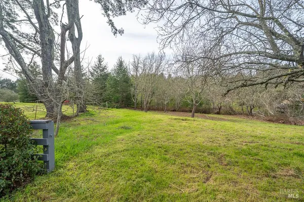 a view of outdoor space and yard