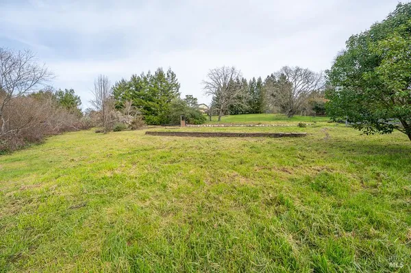 a view of a field with trees in the background