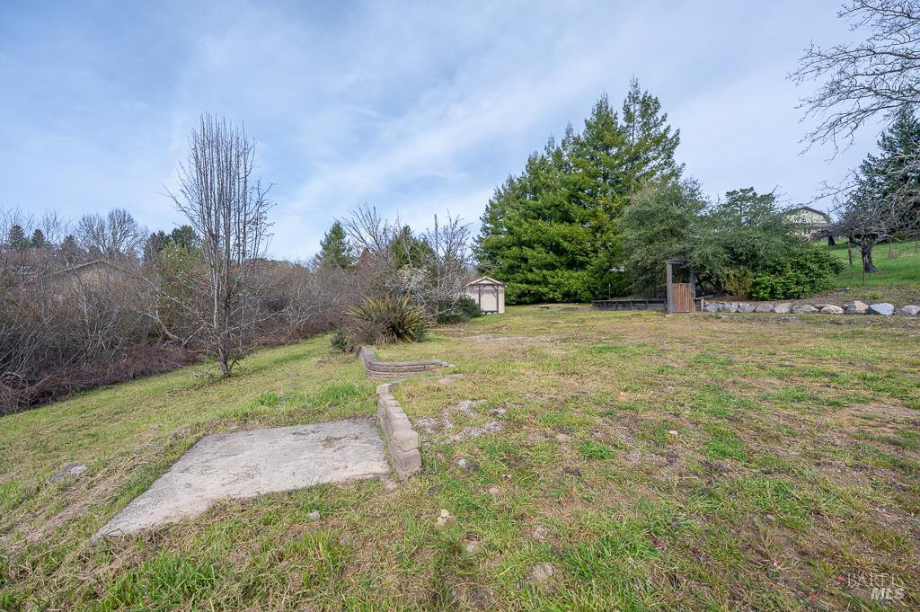 790 Ferguson Road Sebastopol, CA 95472 - Photo 5 of 15 a backyard of a house with lots of green space