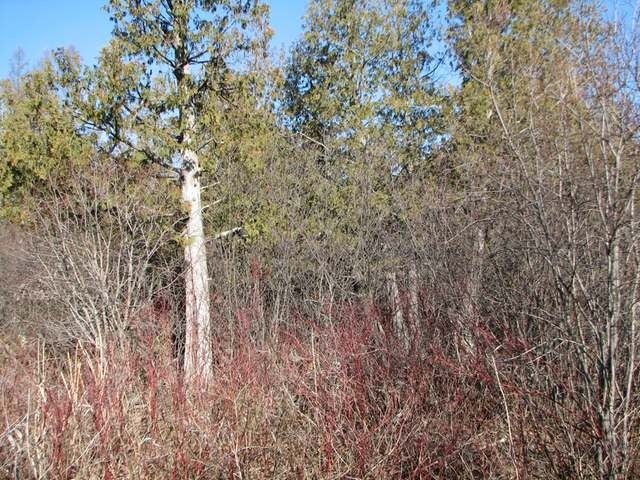 Off Off Vension Drive Prentice, WI 54556 - Photo 16 of 16 Gallery Image 16