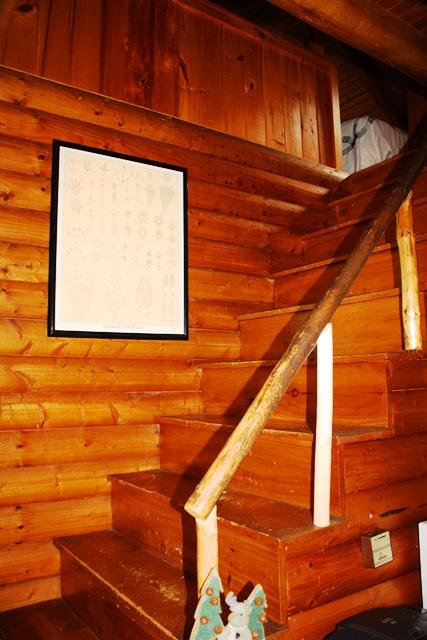 200 Rumford Road Oquossoc, ME 04964 - Photo 42 of 50 Interior