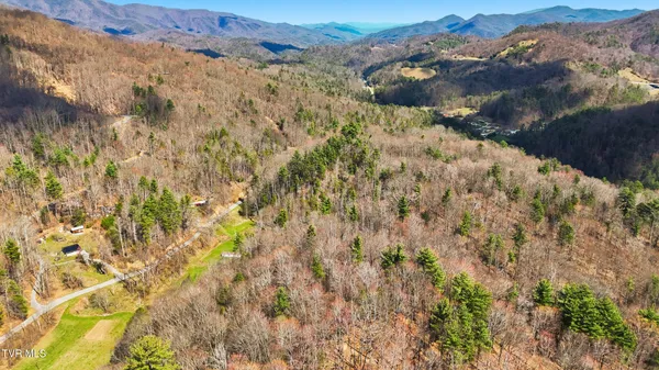 $295,000 | Tbd Stockton Road, Flag Pond, TN 37657