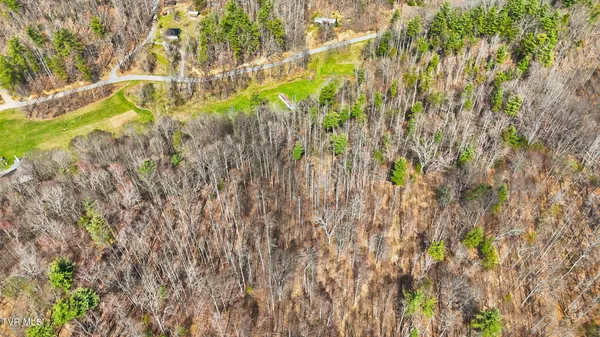 $295,000 | Tbd Stockton Road, Flag Pond, TN 37657