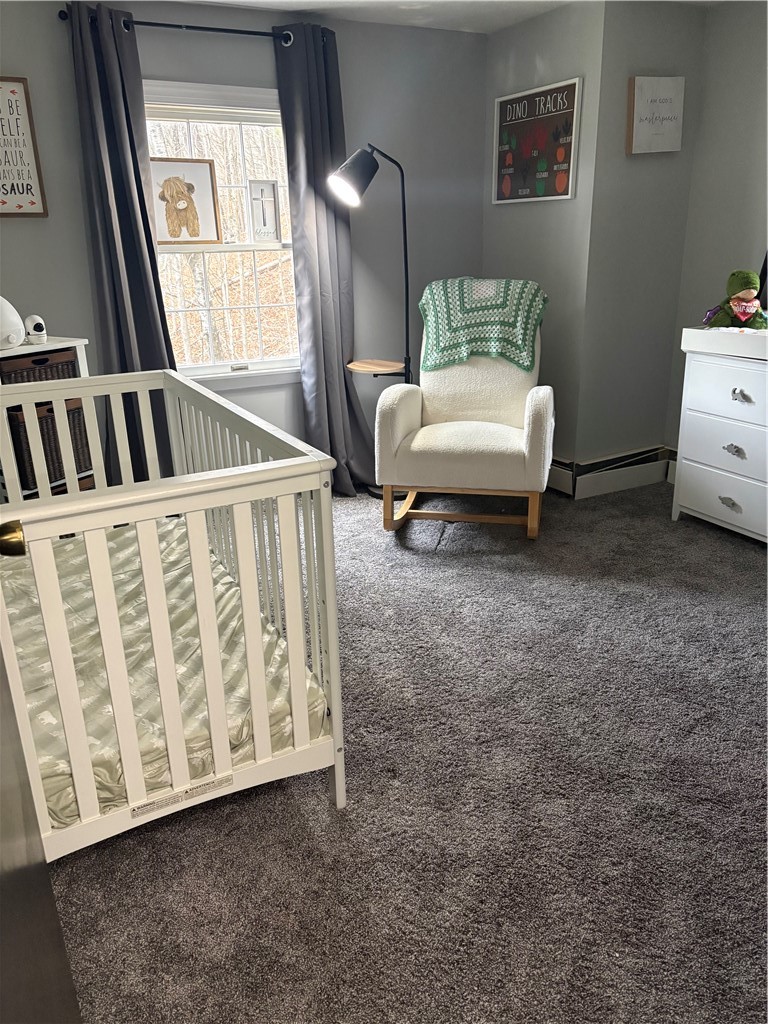 14 Clark Hollow Road Southport, NY 14871 - Photo 32 of 42