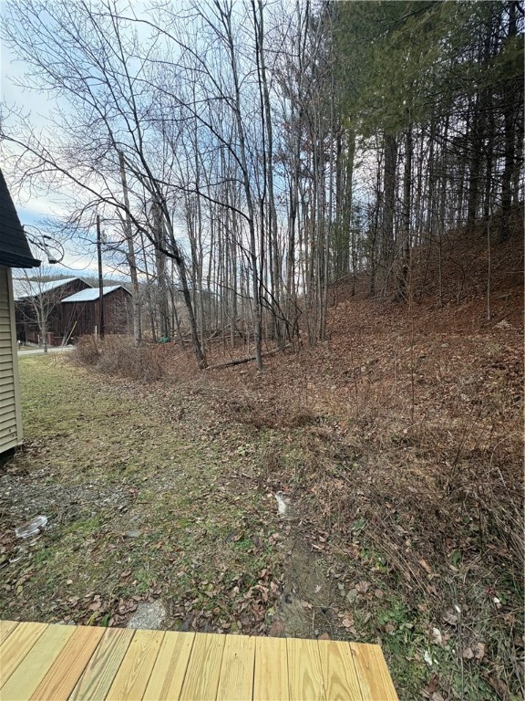 14 Clark Hollow Road Southport, NY 14871 - Photo 48 of 50