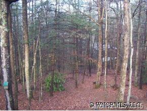 105 Knob Road Pisgah Forest, NC 28768 - Photo 10 of 11 Gallery Image 10