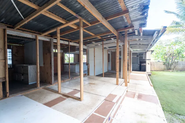 a view of a yard with plants and large trees