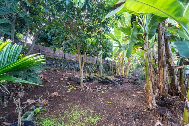 an aerial view of a house with a garden