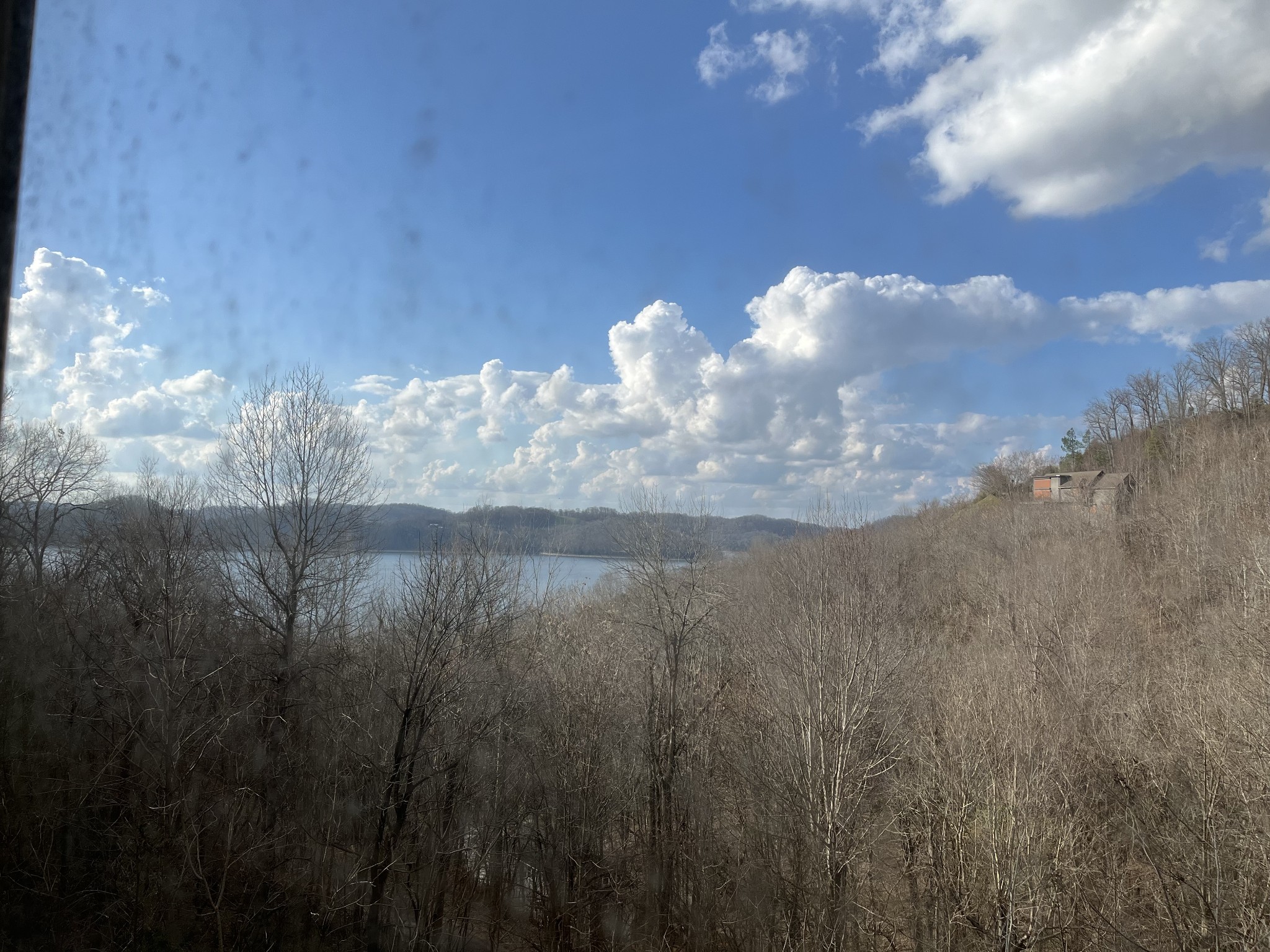 316 Floating Mill Road Silver Point, TN 38582 - Photo 8 of 12 a view of a lake in middle of forest