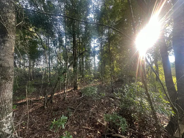 $244,325 | Parcel A Yellow River Baptist Church Road, Unit 22 AC /, Baker, FL 32531