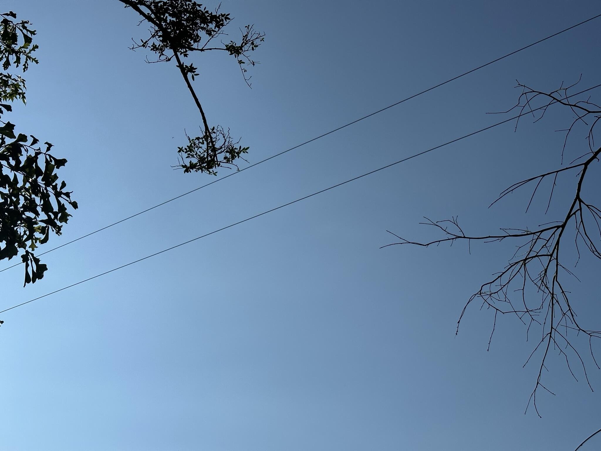 Parcel A Yellow River Baptist Church Road, Unit 22 AC / Baker, FL 32531 - Photo 3 of 10 a view of a small space