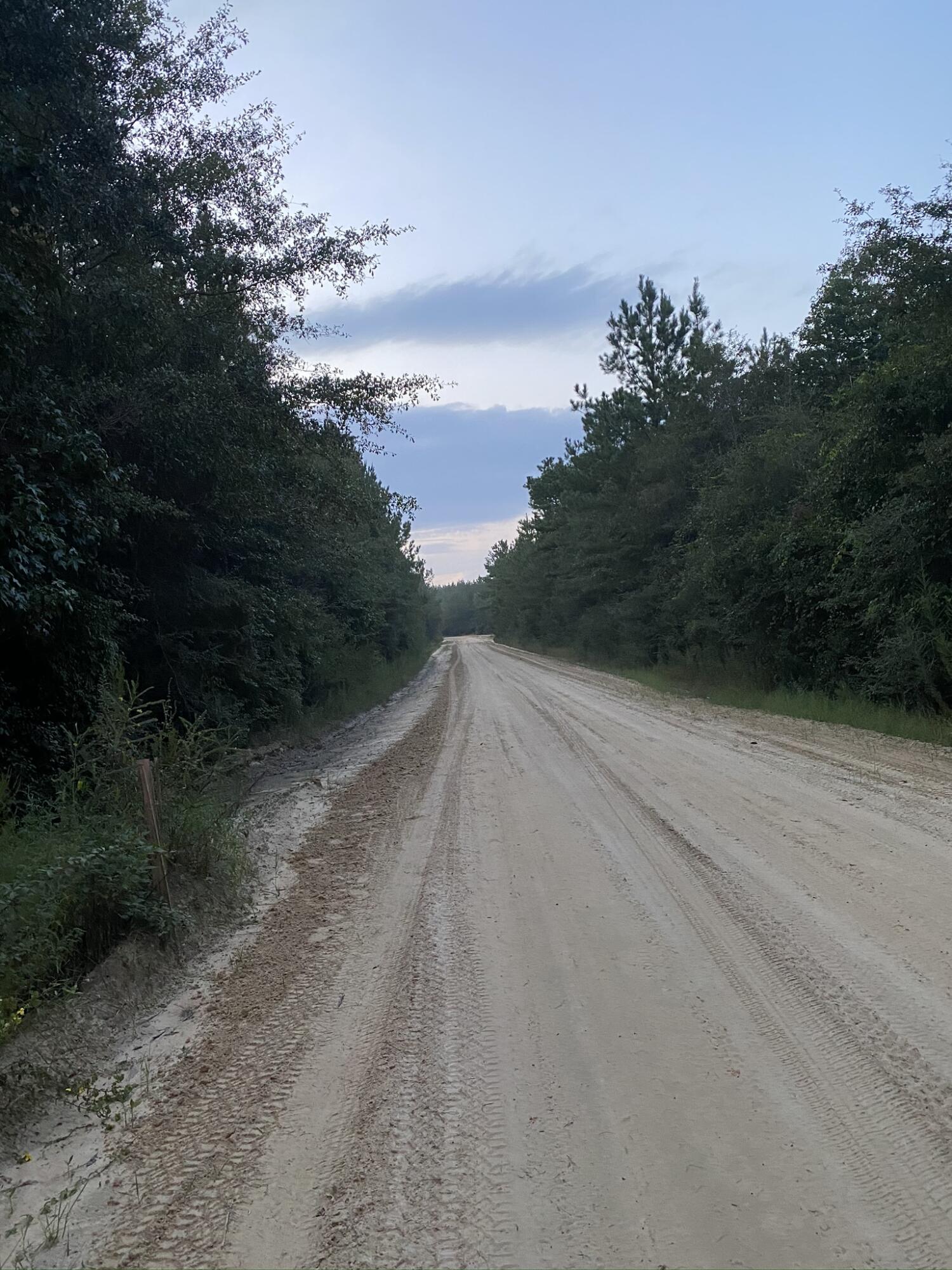 Parcel A Yellow River Baptist Church Road, Unit 22 AC / Baker, FL 32531 - Photo 5 of 10 a view of a road with a trees in the background