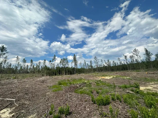 a view of a lake with houses in the background