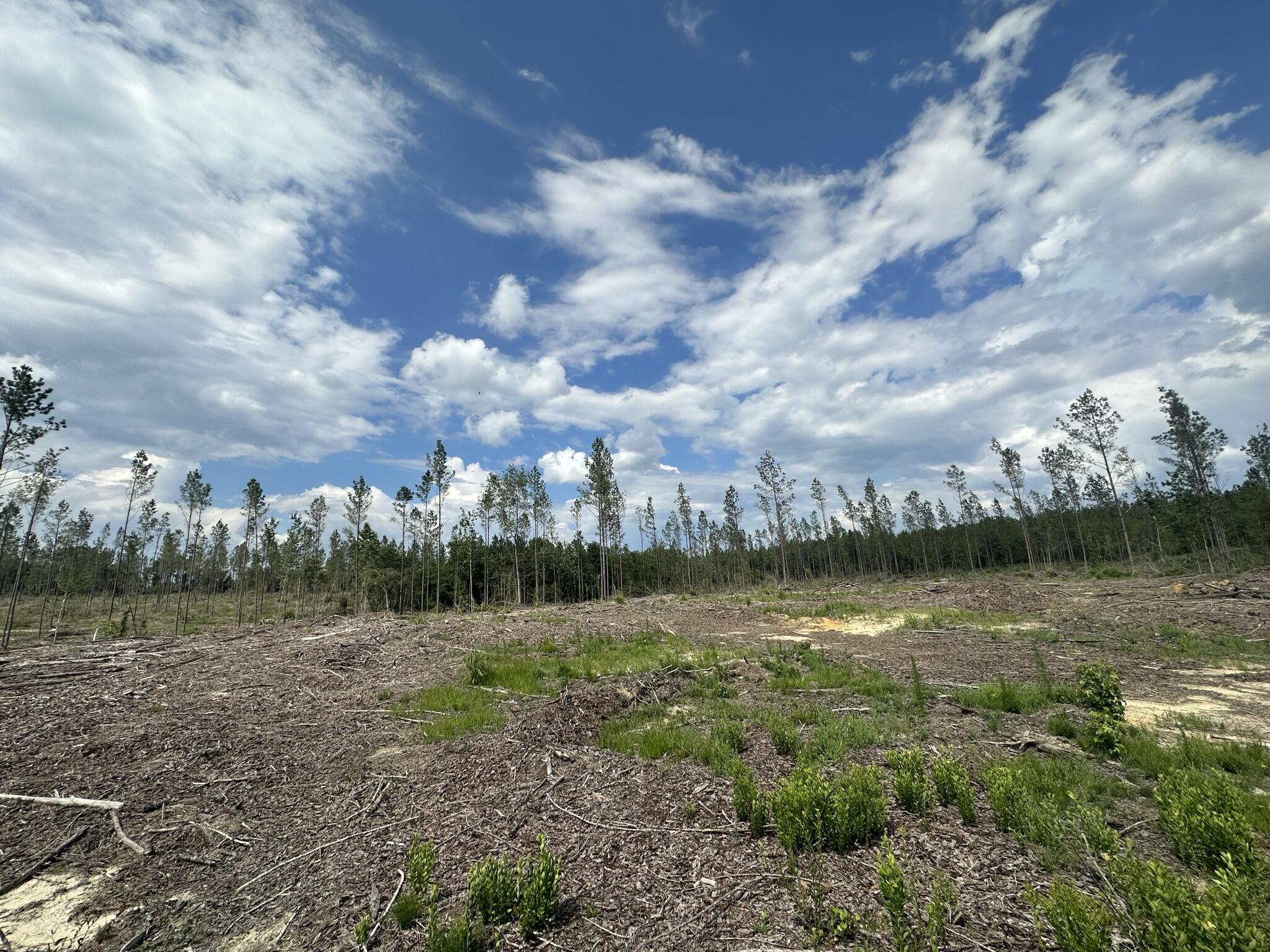 Parcel A Yellow River Baptist Church Road, Unit 22 AC / Baker, FL 32531 - Photo 6 of 10 a view of a lake with houses in the background