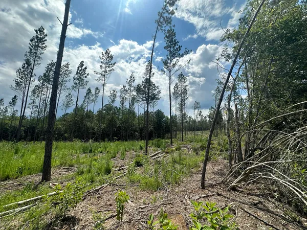 $244,325 | Parcel A Yellow River Baptist Church Road, Unit 22 AC /, Baker, FL 32531
