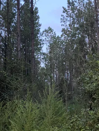 $244,325 | Parcel A Yellow River Baptist Church Road, Unit 22 AC /, Baker, FL 32531