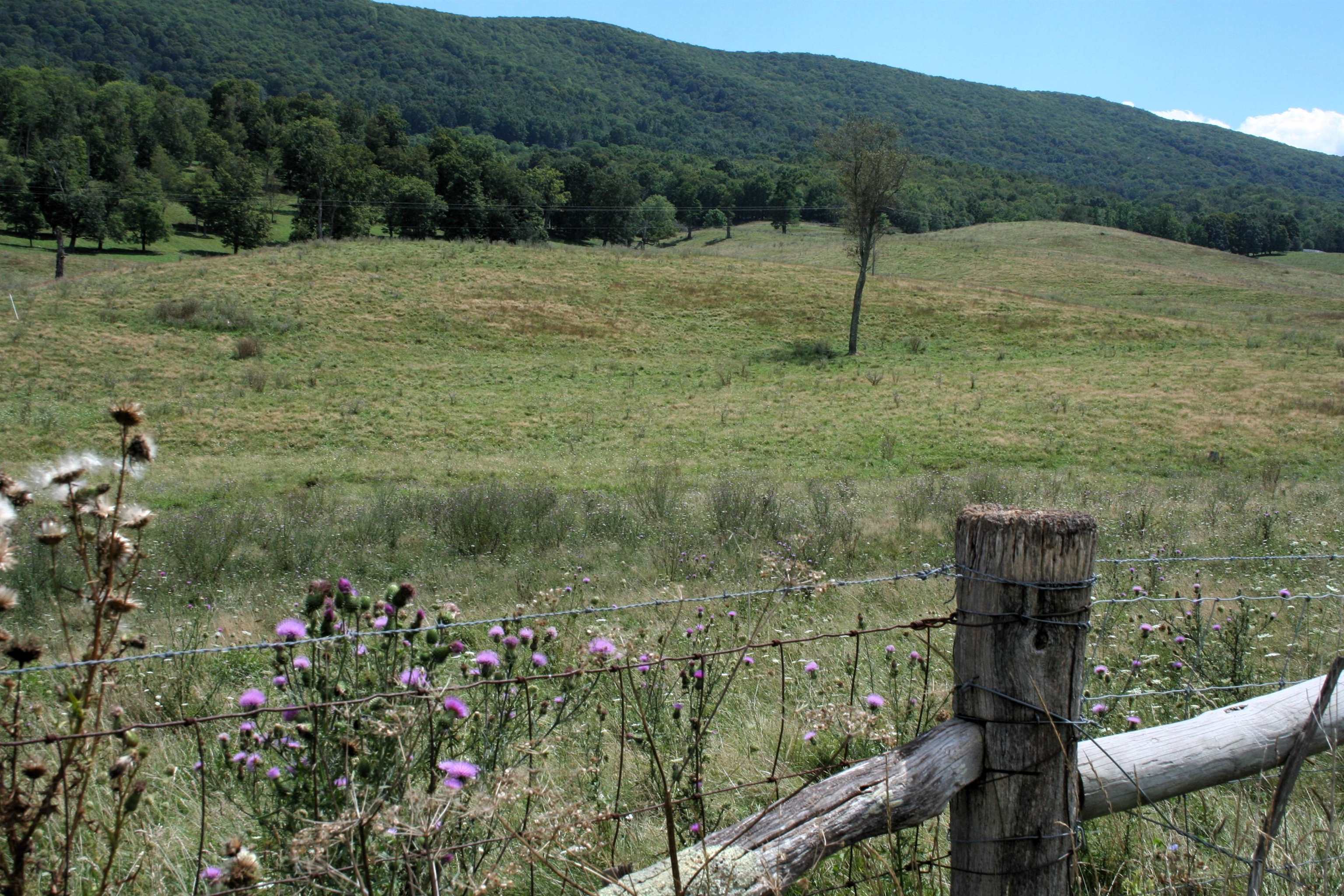 Tbd Mill Gap Road Monterey, VA 24465 - Photo 3 of 6 a view of a lush green field