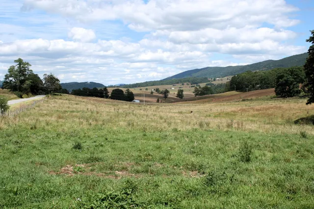 a view of an outdoor space and a yard